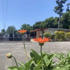 静岡市清水区の自由霊園 「清水ベイサイドメモリアル」のホームページが新しくなりました。のサムネイル