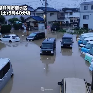 静岡市清水区、台風に悩まされた秋のお彼岸のサムネイル