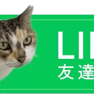 霊園の公式LINEアカウントが便利です。のサムネイル