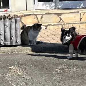 ちくわ店長の仕事初めのサムネイル