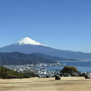 本日は静岡マラソン。富士の山も綺麗です。のサムネイル